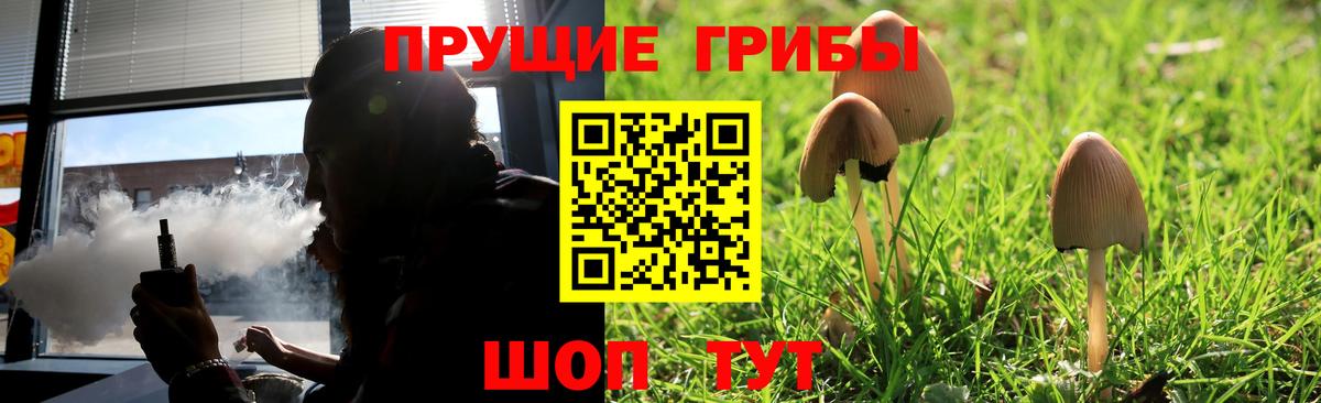 Галлюциногенные грибы Psilocybine cubensis Светлоград